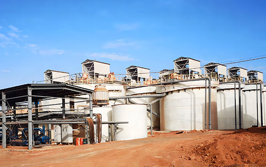 Guinea 15,000t/d Gold Gravity Separation and CIP Plant