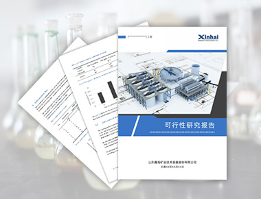 Feasibility Study