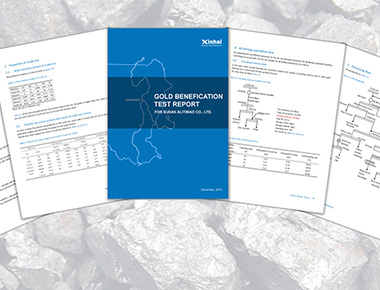 Mining Plan Development